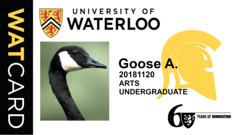 Example of Mr. Goose WatCard