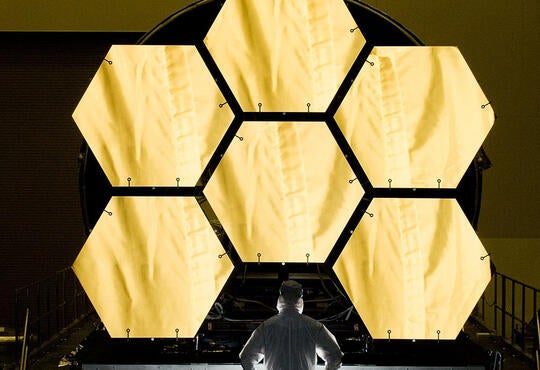 man in beekeeping suit looks up at six towering gold foil honeycombs.