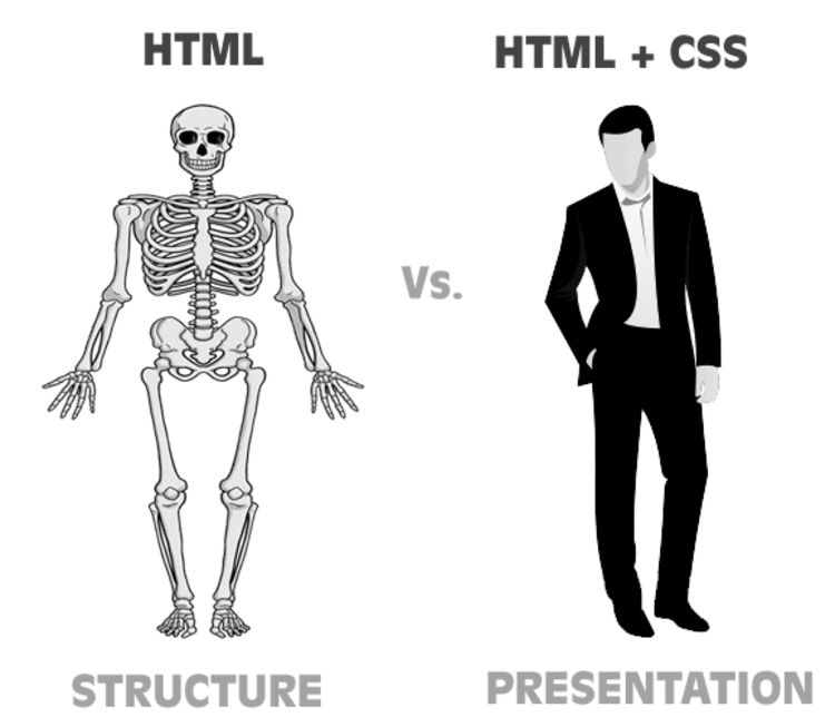 html as a skeleton and css as a person dressed up