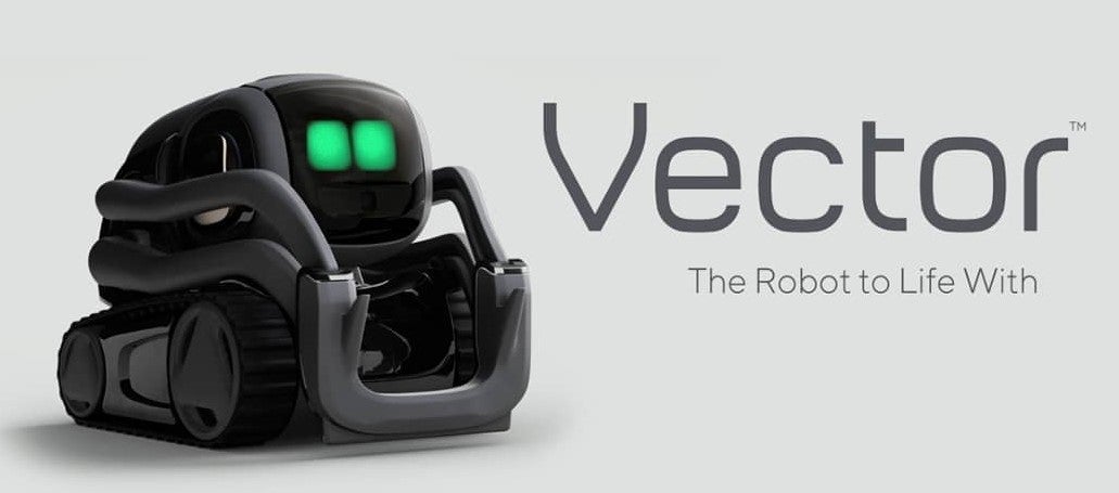 Picture of Anki Vector robot sidekick