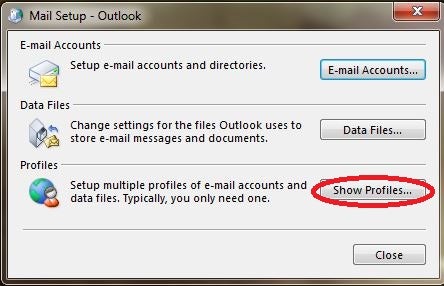 Show Profiles button