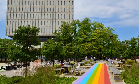 The Arts Quad featuring a bright rainbow coloured walkway in front of the Dana Porter Library