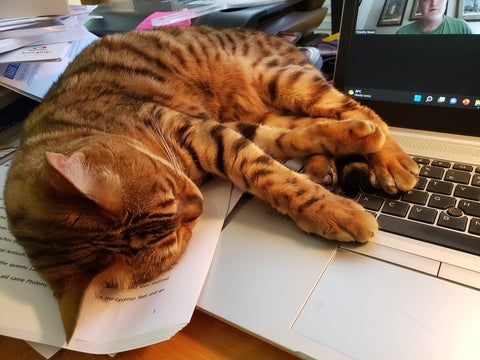 A brown cat with black stripes is taking a nap, lying on a stack of papers on a desk with her legs stretched out over the keyboard of a laptop.