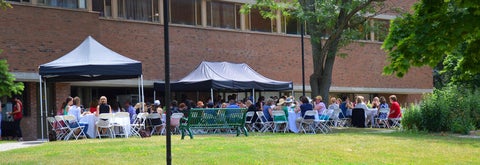 staff gathered at tables in the garden for a summer barbeque