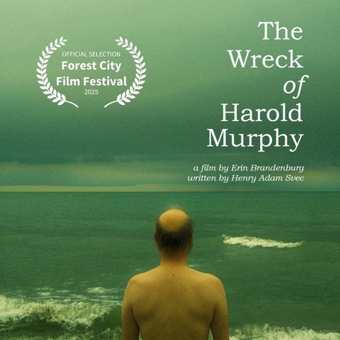 Cover for the film "The Wreck of Harold Murphy," featuring a man looking out over a green lake