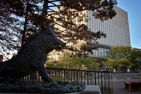 Porcellino statue with Dana Porter Libary in the background