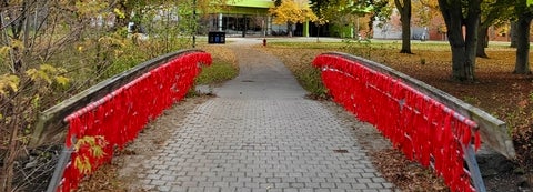 foot bridge with red ribbons tied to railings