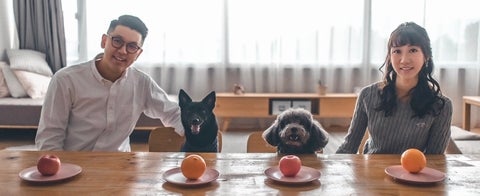 Couple and two dogs sitting at a table with oranges on plates in front of each