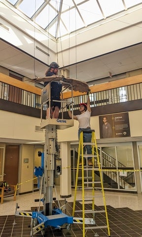 two people on lift and ladder installing cardboard bird in atrium