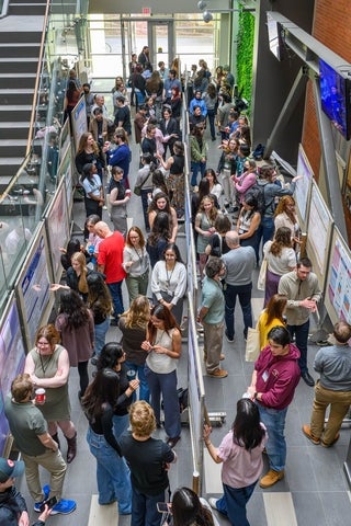 crowds of people gathered