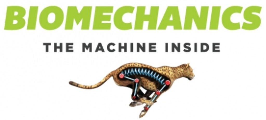 Biomechanics title with cheetah 