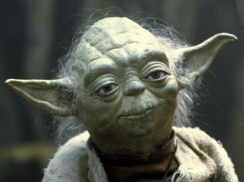 Yoda character from Star Wars movies