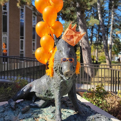 Porcellino's statue wearing orange sunglasses, an orange hat, and an orange feather boa while tied with orange balloons