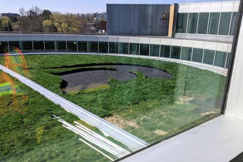 pattern grown into the grass on the roof of the building