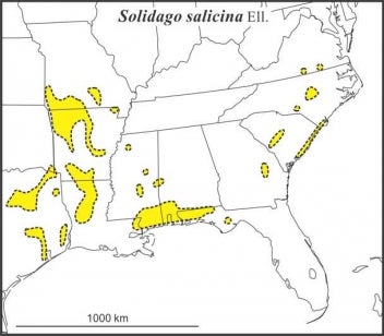 Solidago salicina range after Semple et al 2012