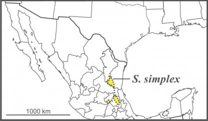 Range of Solidago simplex in Mexico