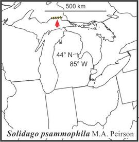 Solidago psammophila range