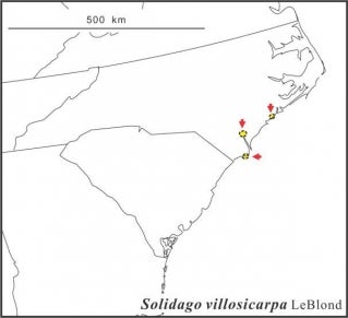 Solidago villosicarpa range Semple draft
