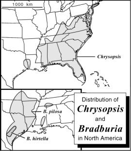 Distribution of Chrysopsis and Bradburia in North America