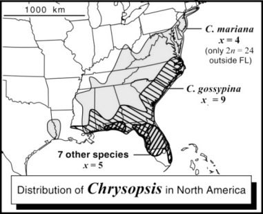 Distribution of Chrysopsis in North America