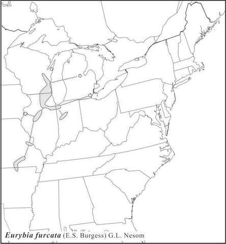 Eurybia furcata range Semple draft