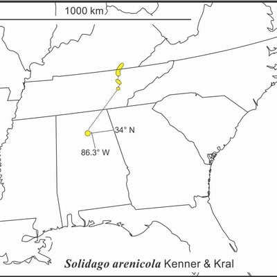 Solidago arenicola range map