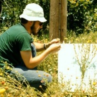 J Semple doing field work 1975