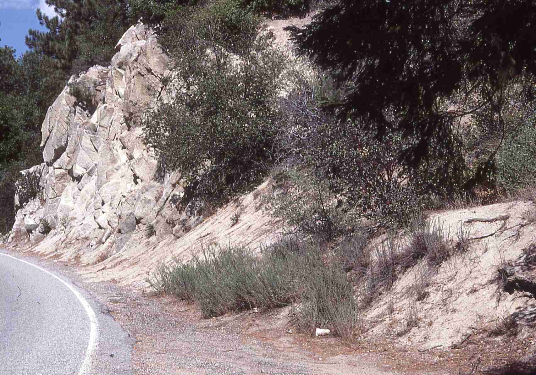 Heterotheca sessiliflora var sanjacintensis 8982 habitat
