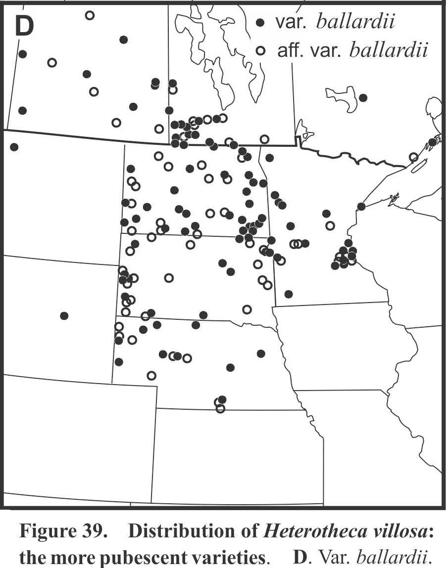 Heterotheca villosa var ballardii distribution Semple (1996)