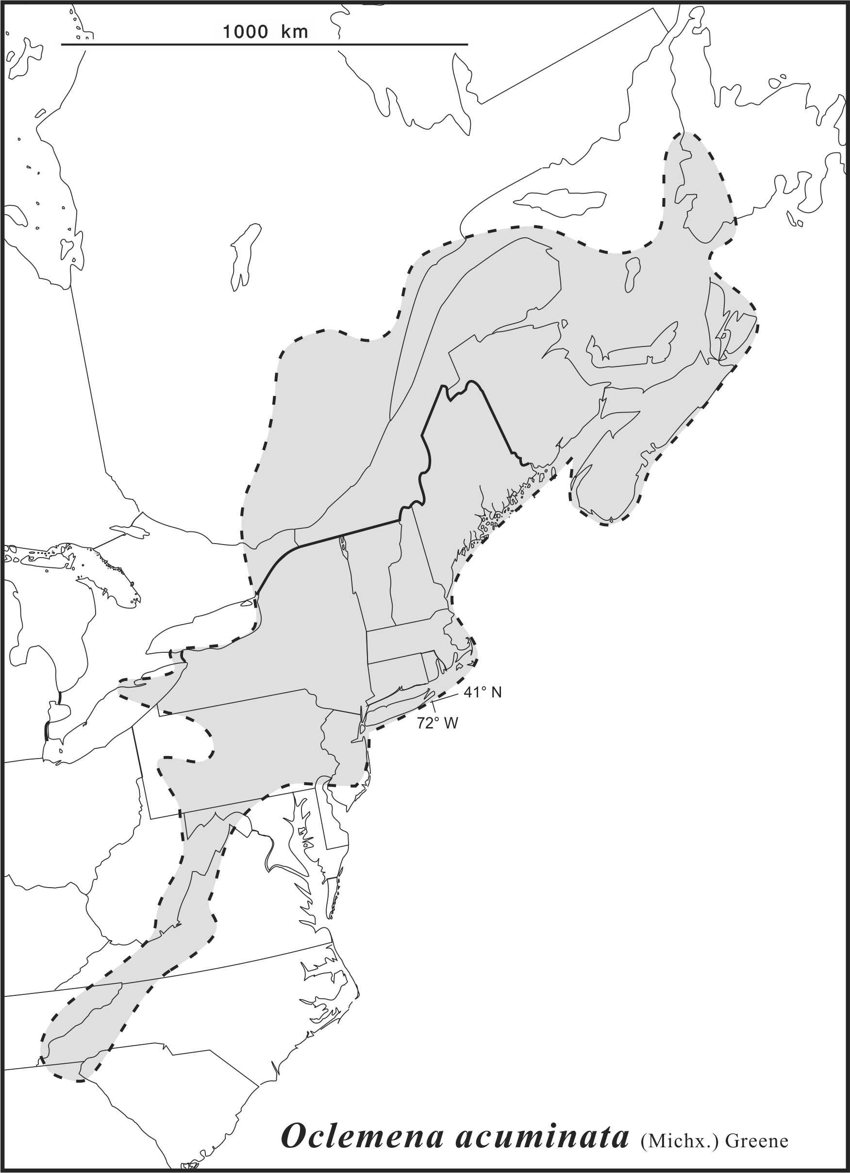 Oclemena acuminata range map