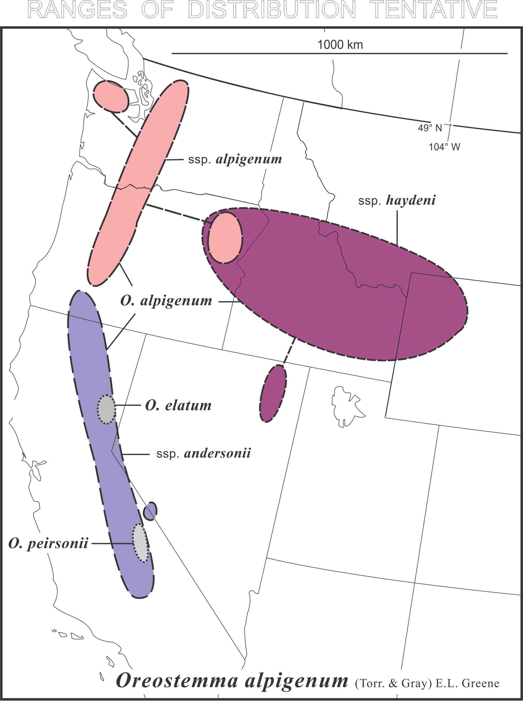 Oreostemma alpigenum range map