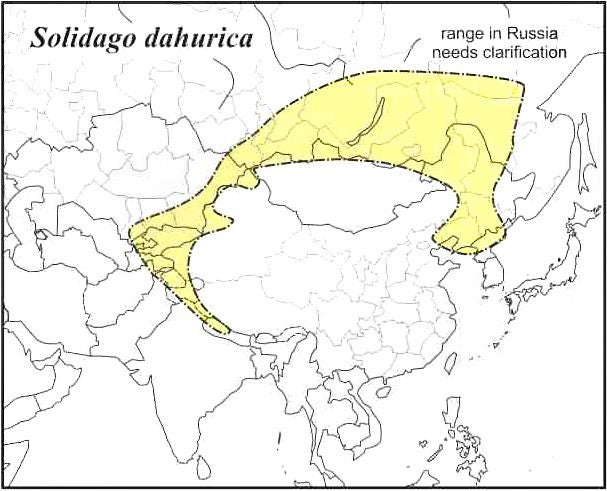Solidago dahurica range map