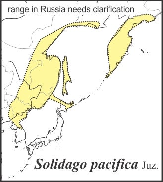 Solidago pacifica range draft JCS