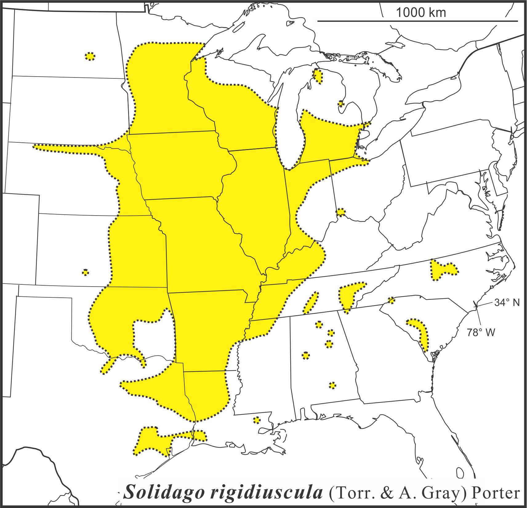 Solidago rigidiuscula range map