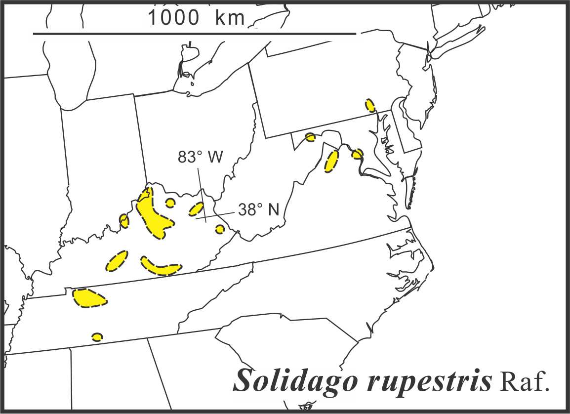 Solidago rupestris range map