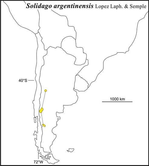 Solidago argentinensis range Semple draft