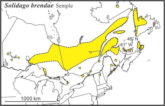 Solidago brendae range Semple draft 2022