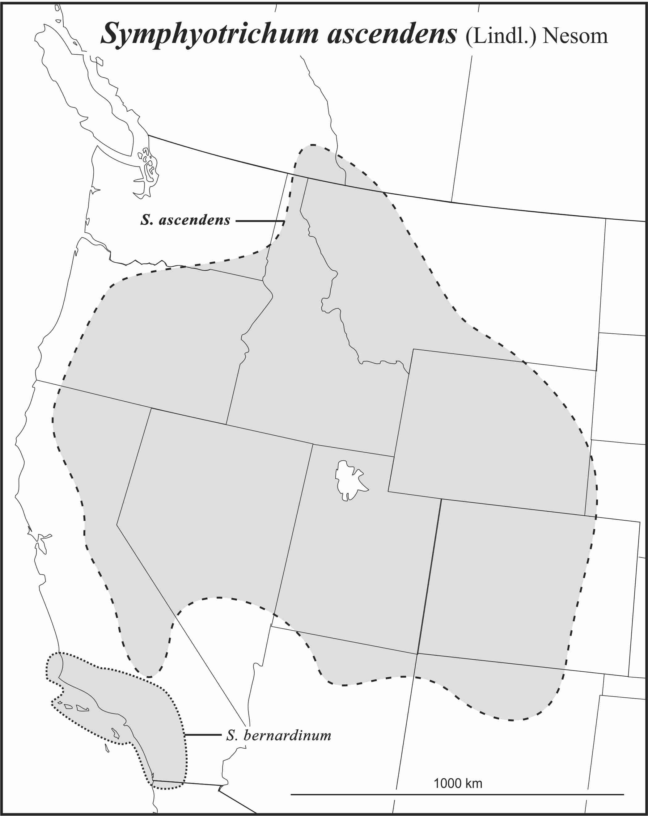 Symphyotrichum ascendens range draft