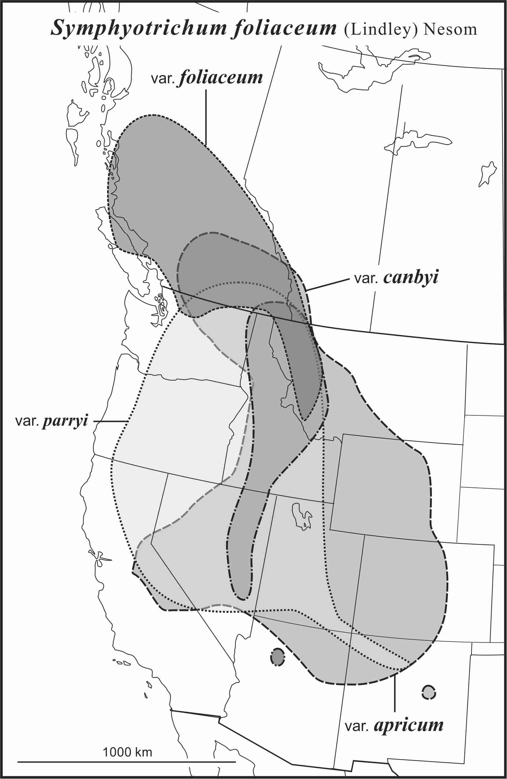 Symphyotrichum foliaceum range map draft JCS