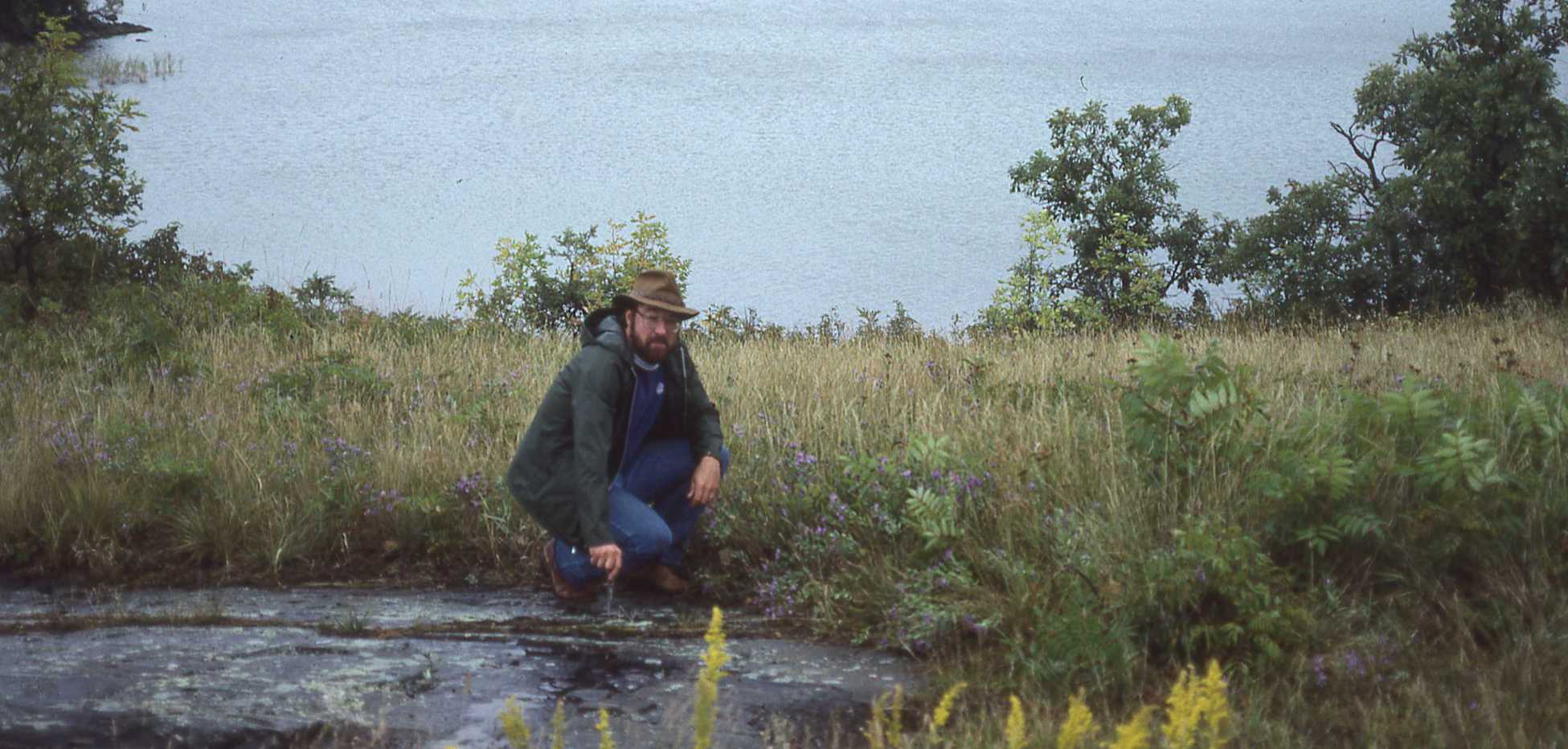 Symphyotrichum sericeum habitat 8787 ON JCS 1985