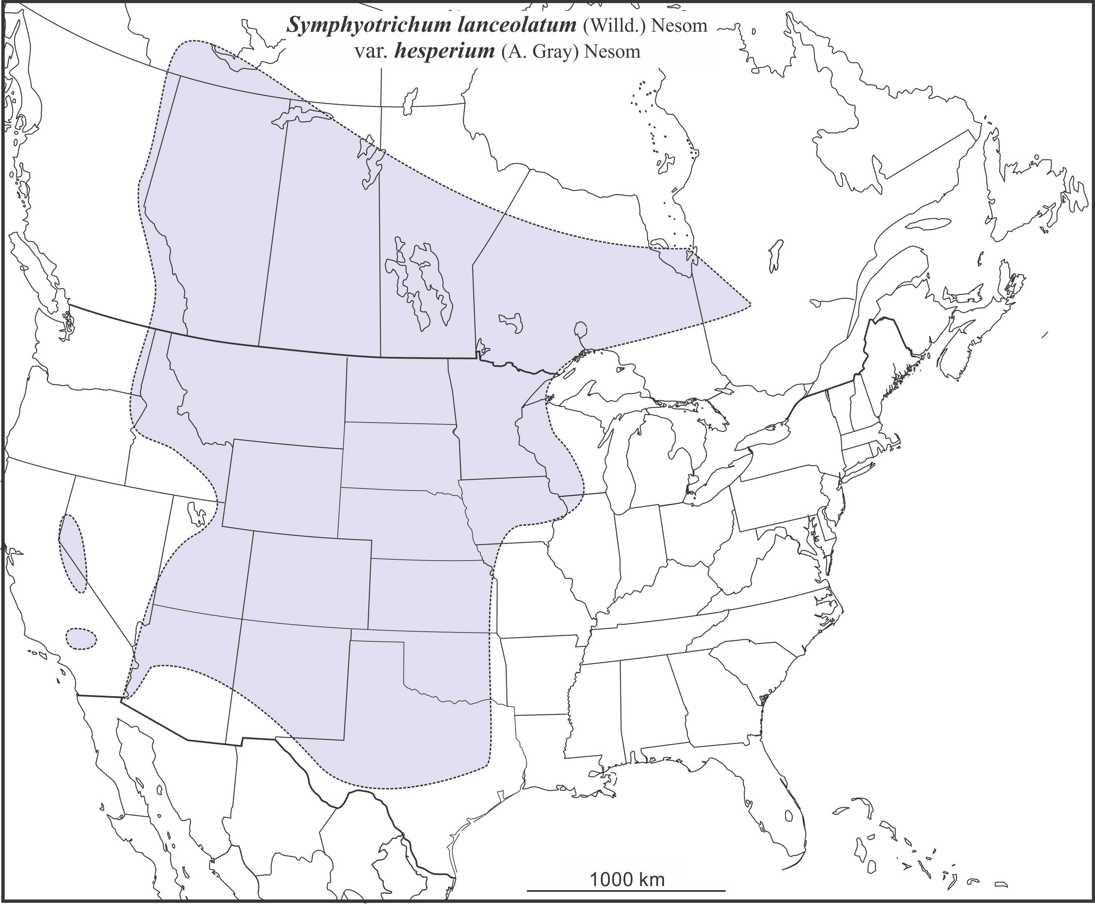 Symphyotrichum lanceolatum hesperium range draft JCS