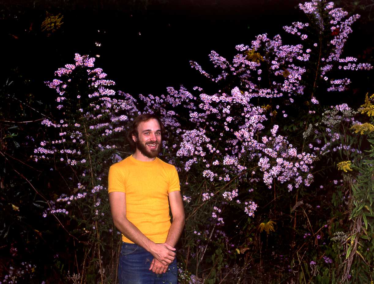 Symphyotrichum praealtum praealtum LB 3830 LA