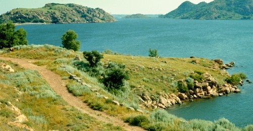 Xanthisma sampling site Quartz Mt. dam