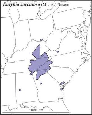 Eurybia surculosa range draft JCS