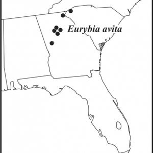 Eurybia avita distribution draft JCS