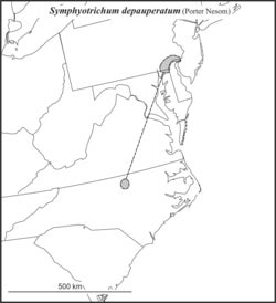 Symphyotrichum depauperatum range JCS