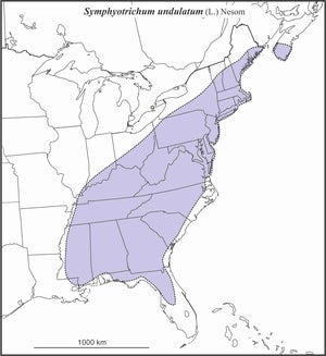 Symphyotrichum undulatum range draft JCS