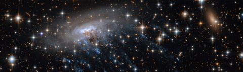 Photo of jellyfish galaxy