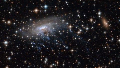 Jellyfish Galaxy ESO 137-001