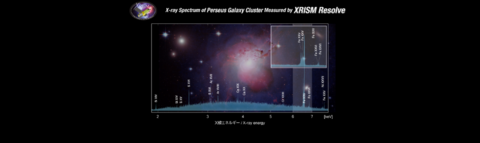 XRISM Resolve spectrum of Perseus Cluster 